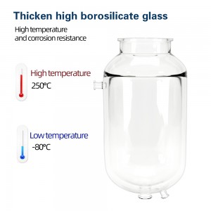 Récipient de réaction en verre pilote de réacteur en verre de laboratoire pour réacteur en verre à Double couche à petite échelle 10L-30L